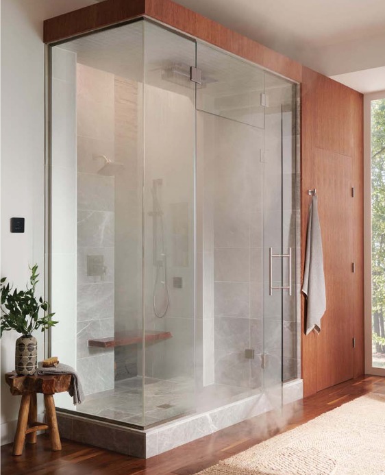 Brizo glass shower